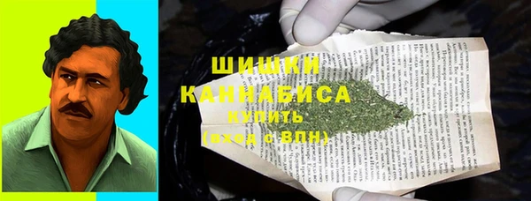 ПСИЛОЦИБИНОВЫЕ ГРИБЫ Алзамай