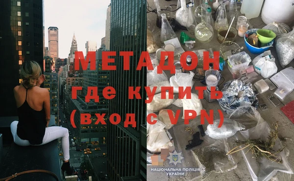 стаф Алексин