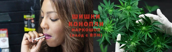 ПСИЛОЦИБИНОВЫЕ ГРИБЫ Алзамай