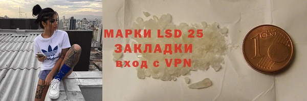 ПСИЛОЦИБИНОВЫЕ ГРИБЫ Алзамай