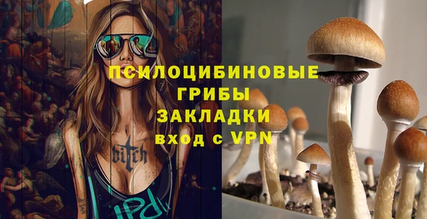 ПСИЛОЦИБИНОВЫЕ ГРИБЫ Алзамай