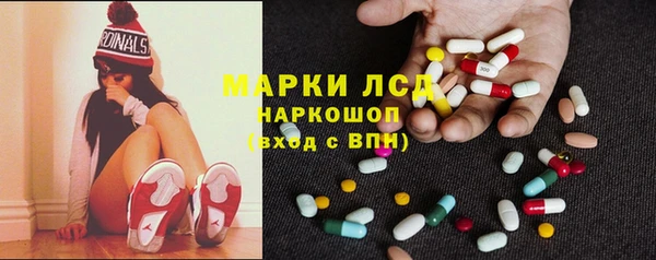 стаф Алексин