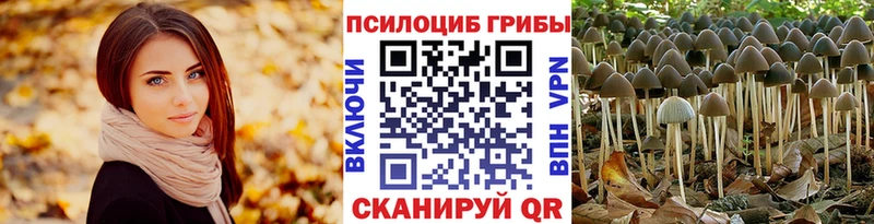 купить наркоту  Учалы  Псилоцибиновые грибы ЛСД 