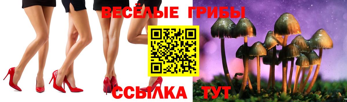 Псилоцибиновые грибы мухоморы  Вход с VPN  Псилоцибиновые грибы Cubensis  закладки  Учалы 